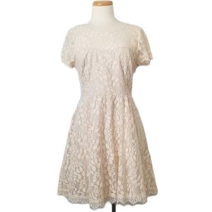 LC Lauren Conrad Lacy Cream Dress